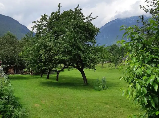 캠프장 Socaland Glamping